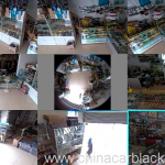 CMOS 1.3MP 960P 360 Degree Fisheye Panoramic IP Camera With Auto Switch IR Cut 2