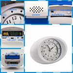 IP Clock Camera with 10 units LED Night Vision 3